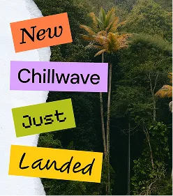 Product photo of the Chillwave cold-brew coffee, featured as a new drop.